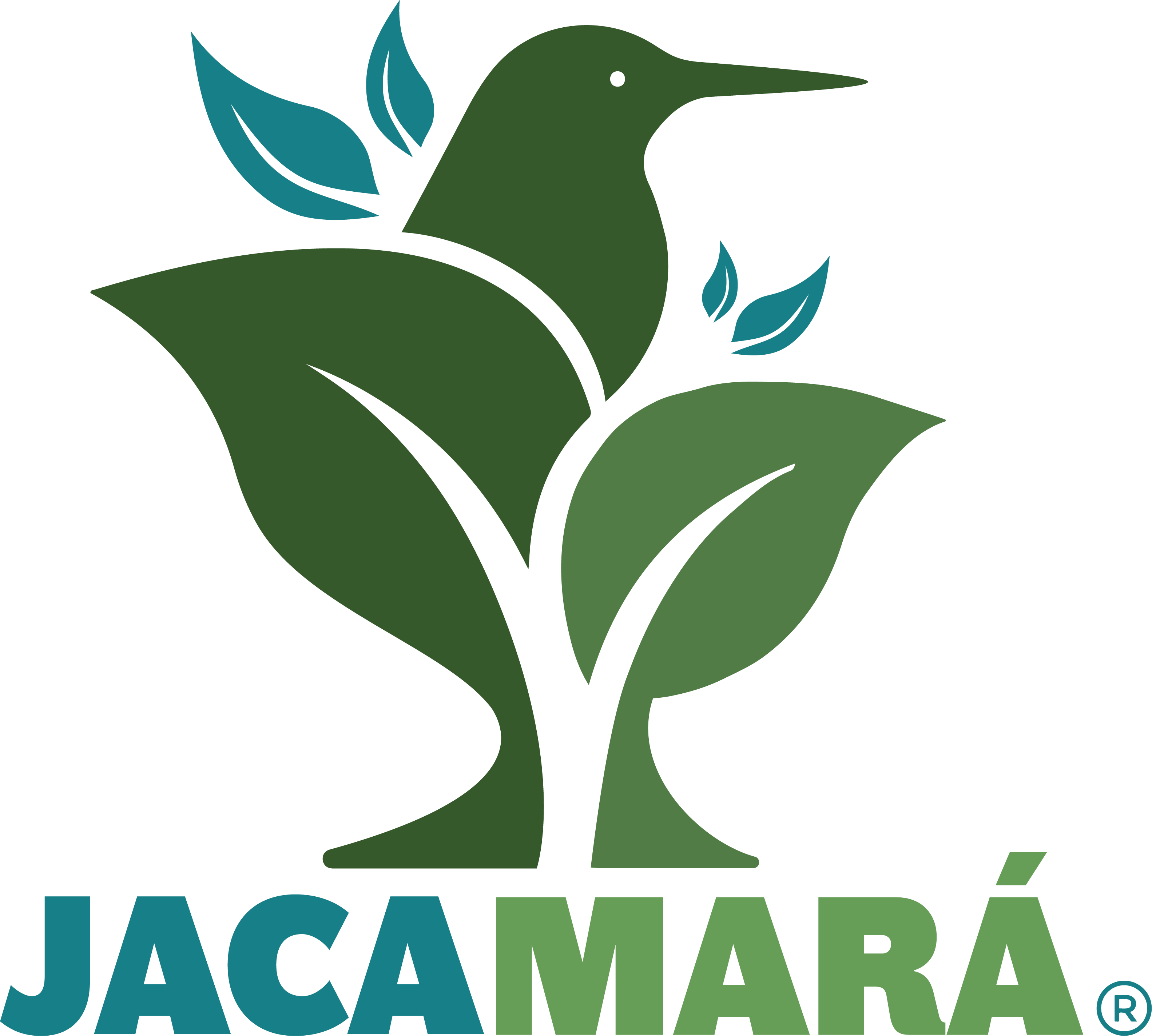 Jacamará